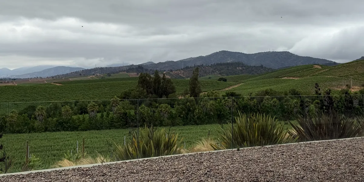Green vineyard hills and distant mountains seen from a terrace under heavy gray clouds